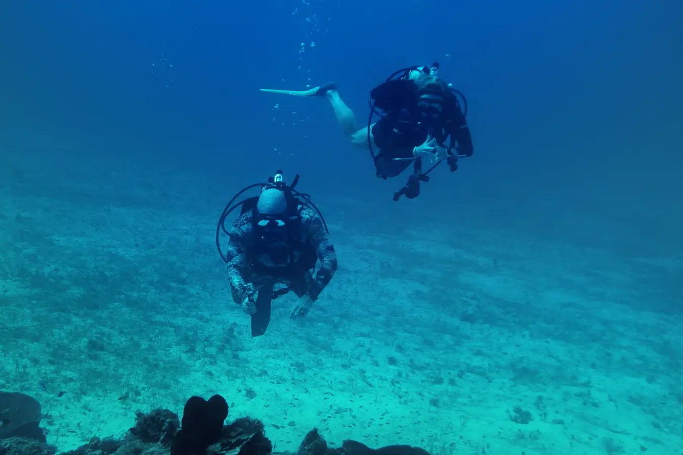 PATI Certified SCZUBA Divers at Hedonism II